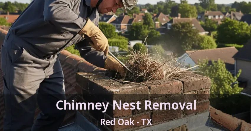 Chimney Nest Removal Red Oak - TX