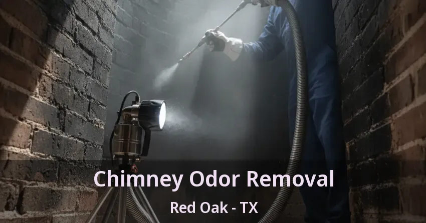 Chimney Odor Removal Red Oak - TX