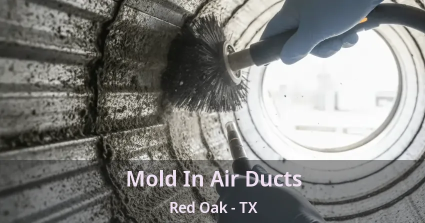 Mold In Air Ducts Red Oak - TX