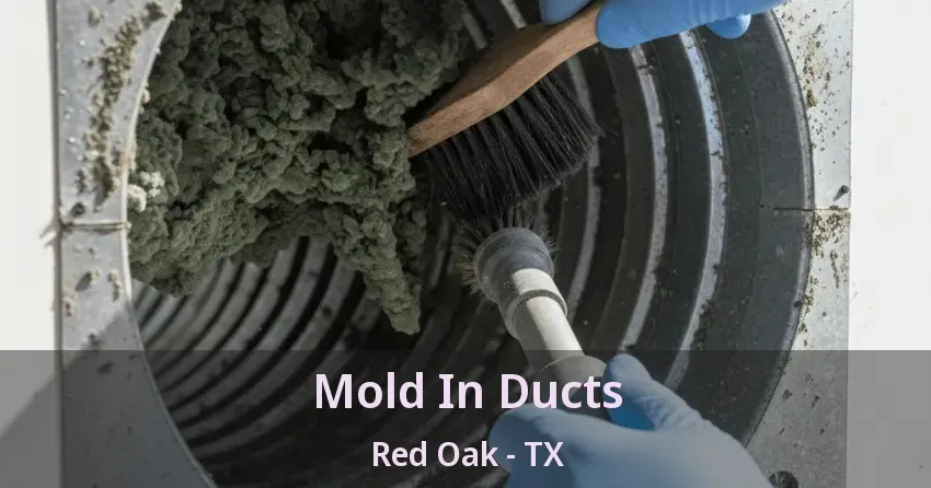 Mold In Ducts Red Oak - TX