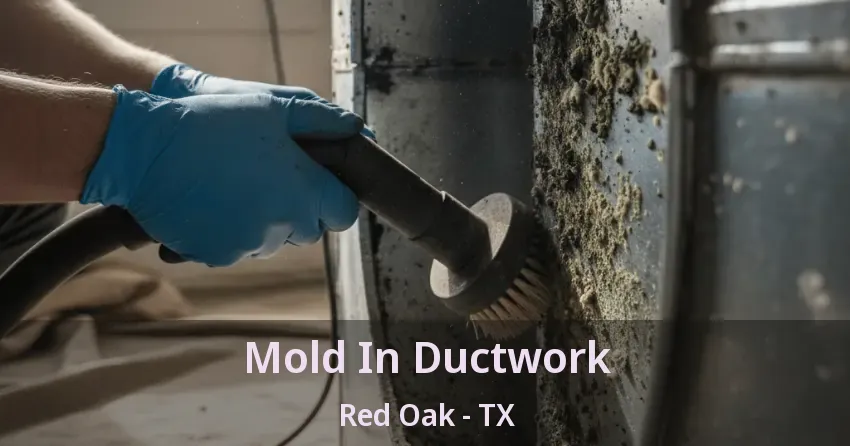 Mold In Ductwork Red Oak - TX Mold In Ductwork Red Oak - TX