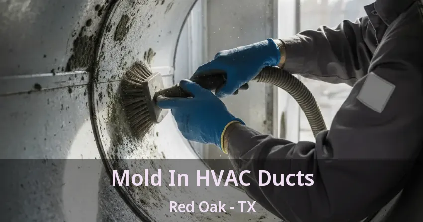 Mold In HVAC Ducts Red Oak - TX