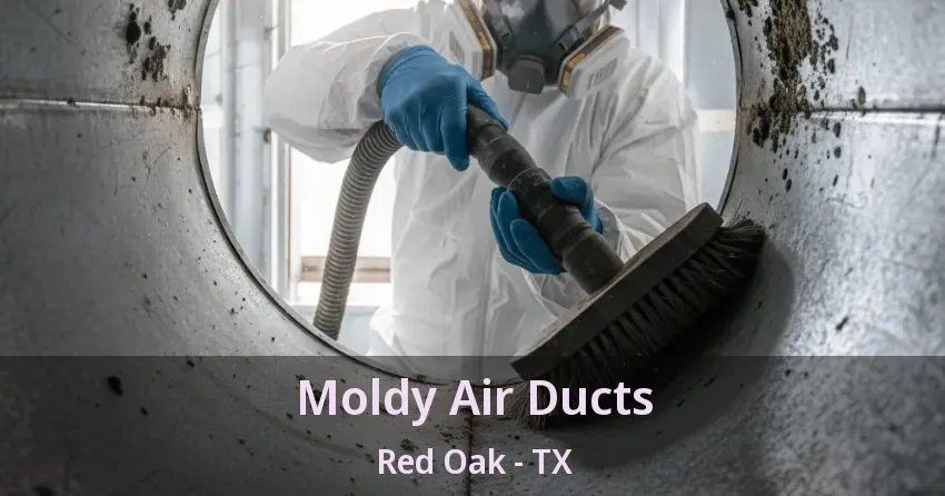 Moldy Air Ducts Red Oak - TX